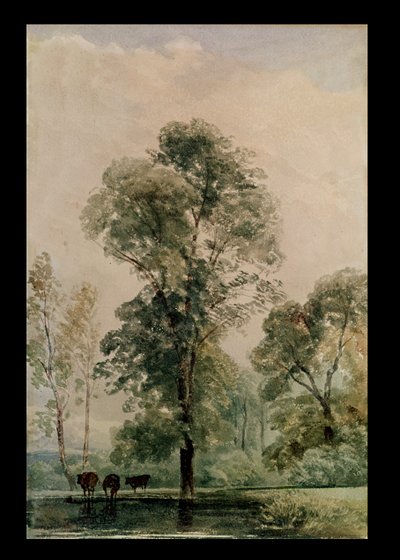 Watering Place by Peter de Wint